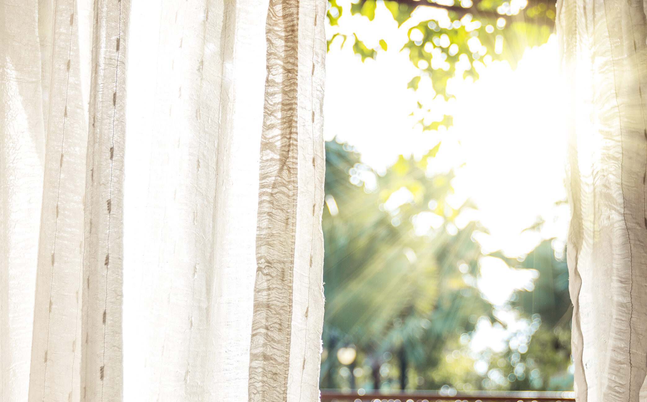 白いカーテンの隙間から、眩しい朝日が部屋いっぱいに差し込む様子。外の木々の緑が透け、光の筋が美しく広がる、清々しい朝の空間イメージ。